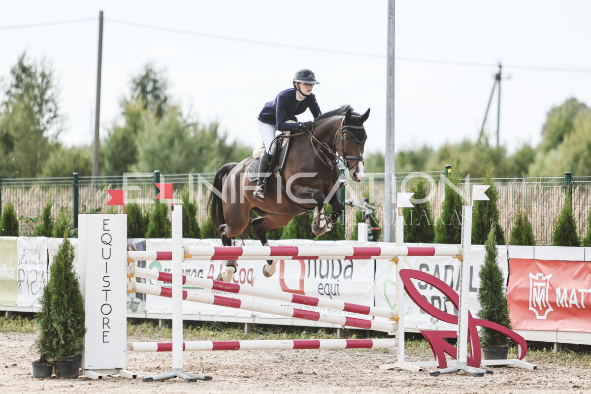 NHTS_2026_7_hc130-135cm_012