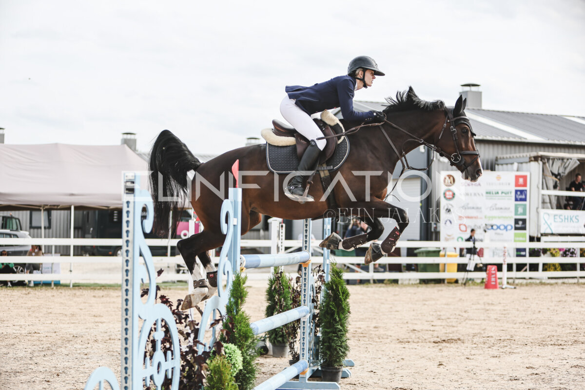 NHTS_2026_7_hc130-135cm_018