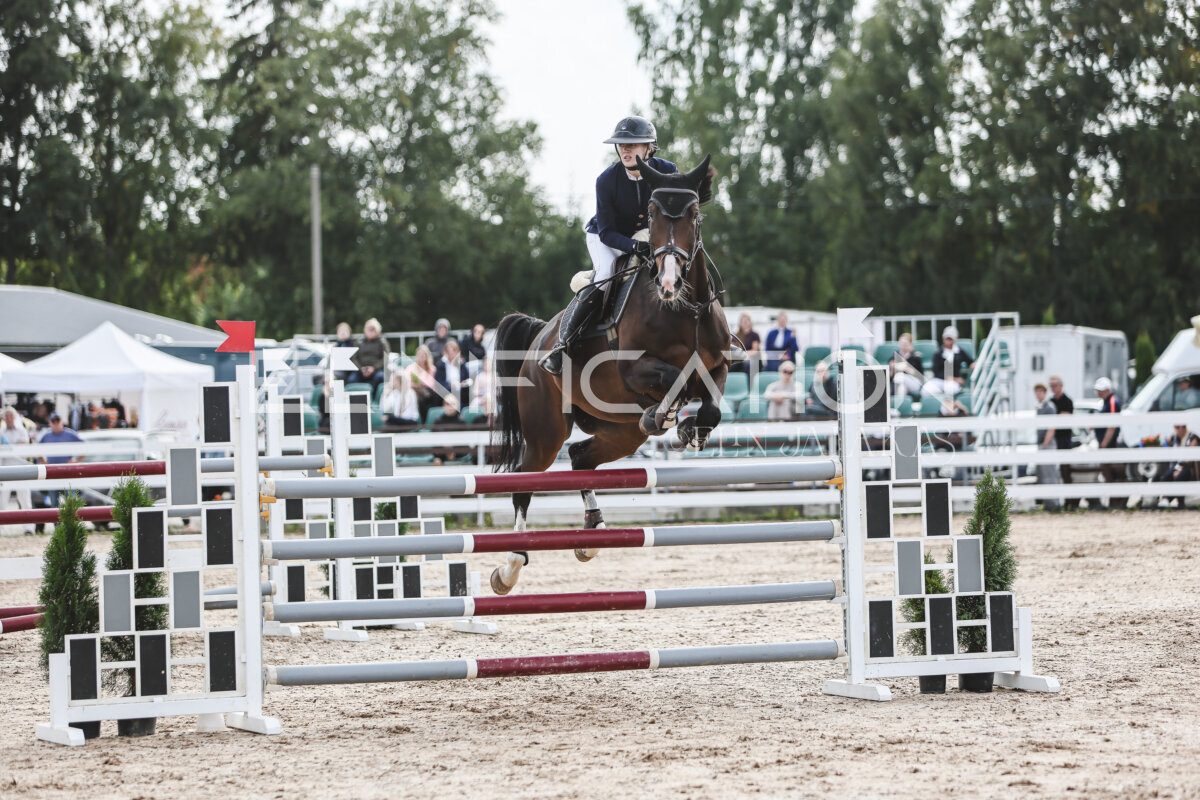 NHTS_2026_7_hc130-135cm_019