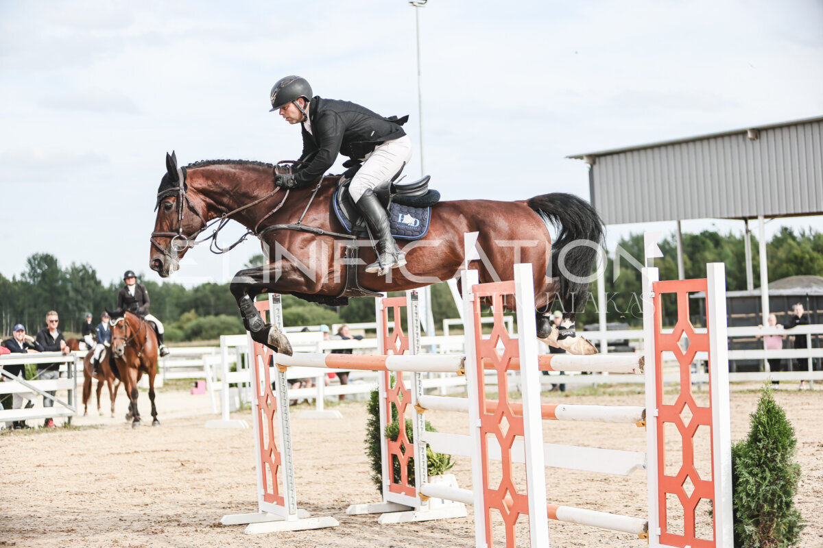 NHTS_2026_7_hc130-135cm_030
