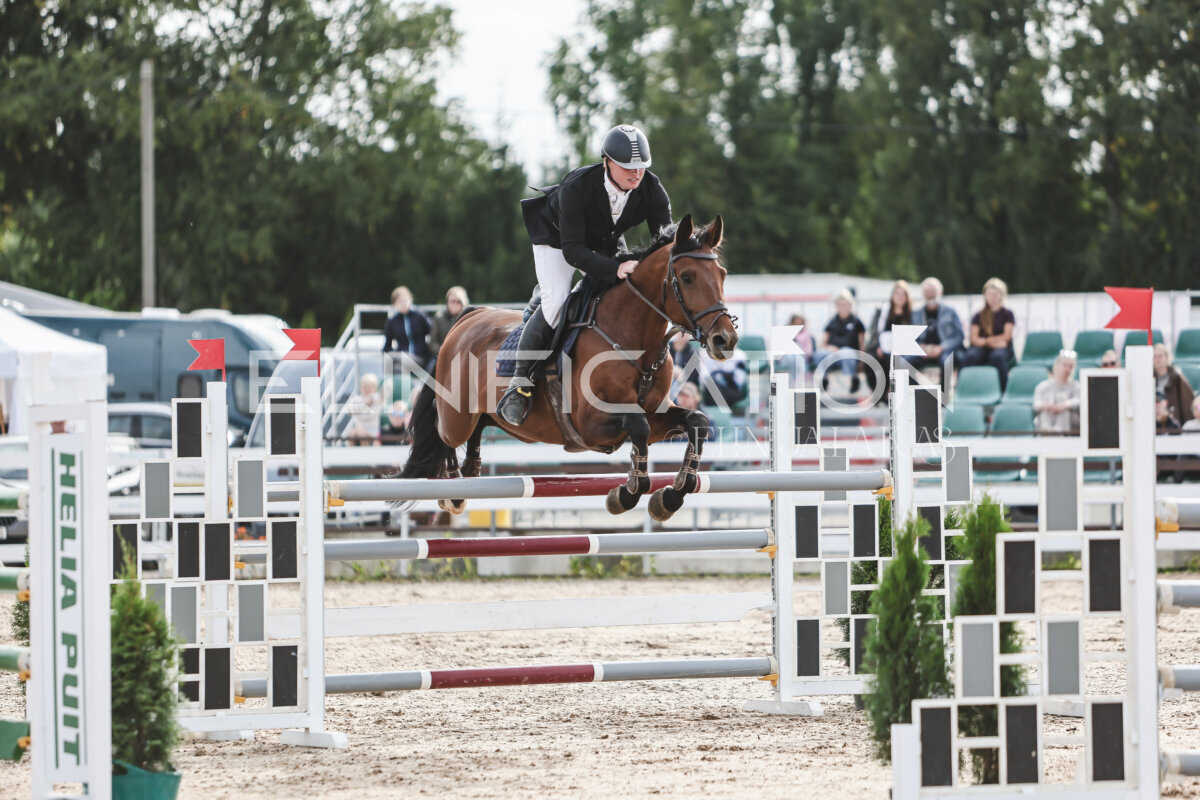 NHTS_2026_7_hc130-135cm_040