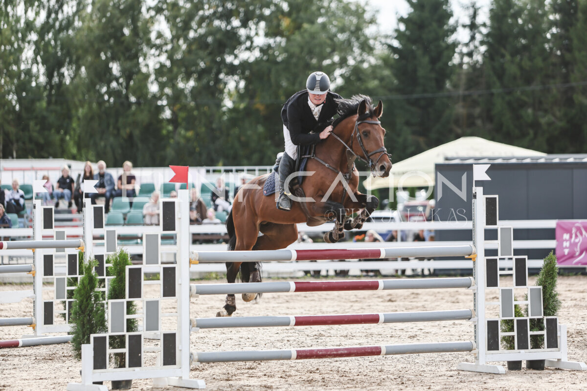 NHTS_2026_7_hc130-135cm_041