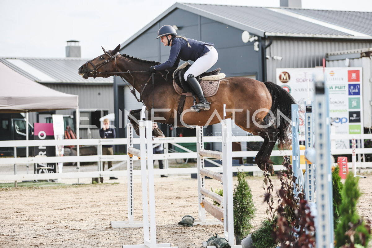 NHTS_2026_7_hc130-135cm_045