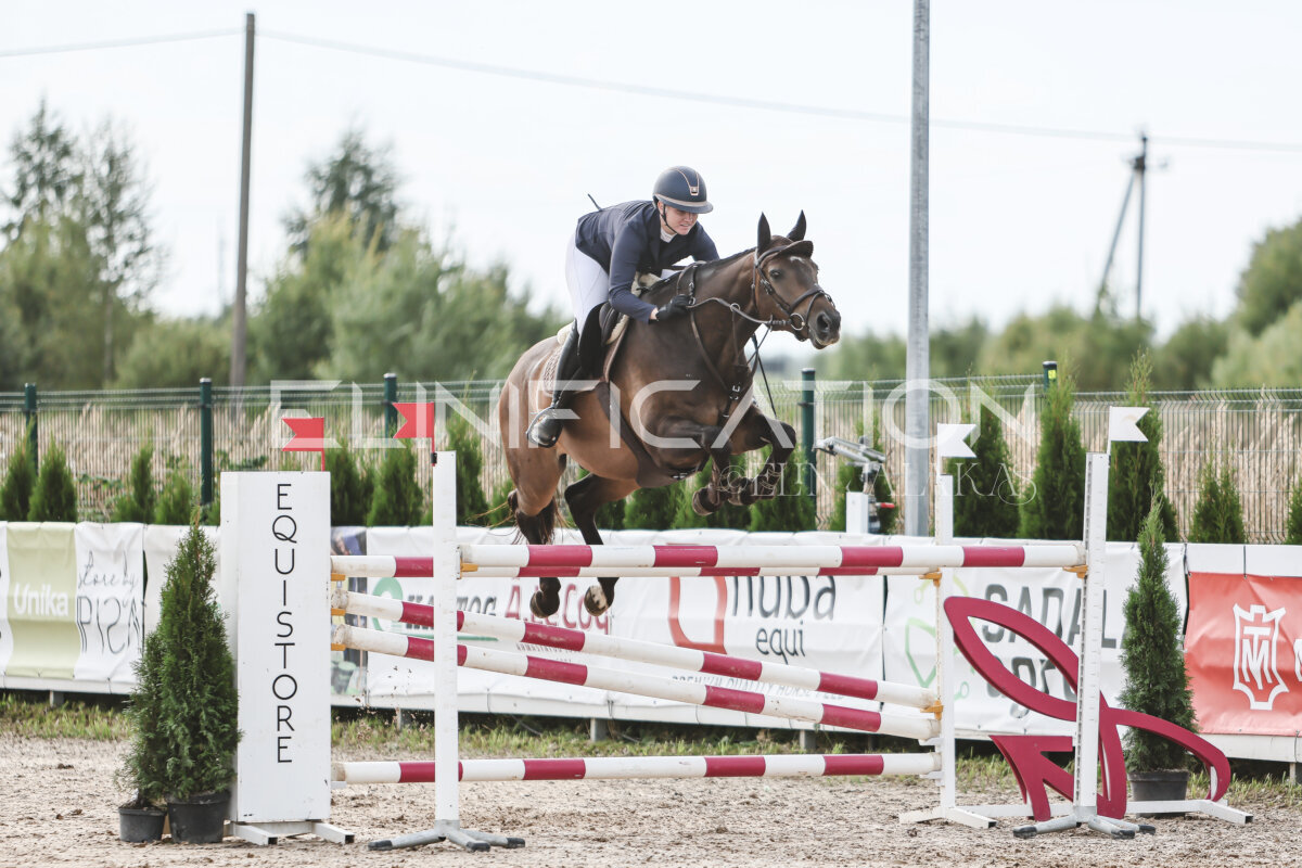NHTS_2026_7_hc130-135cm_047