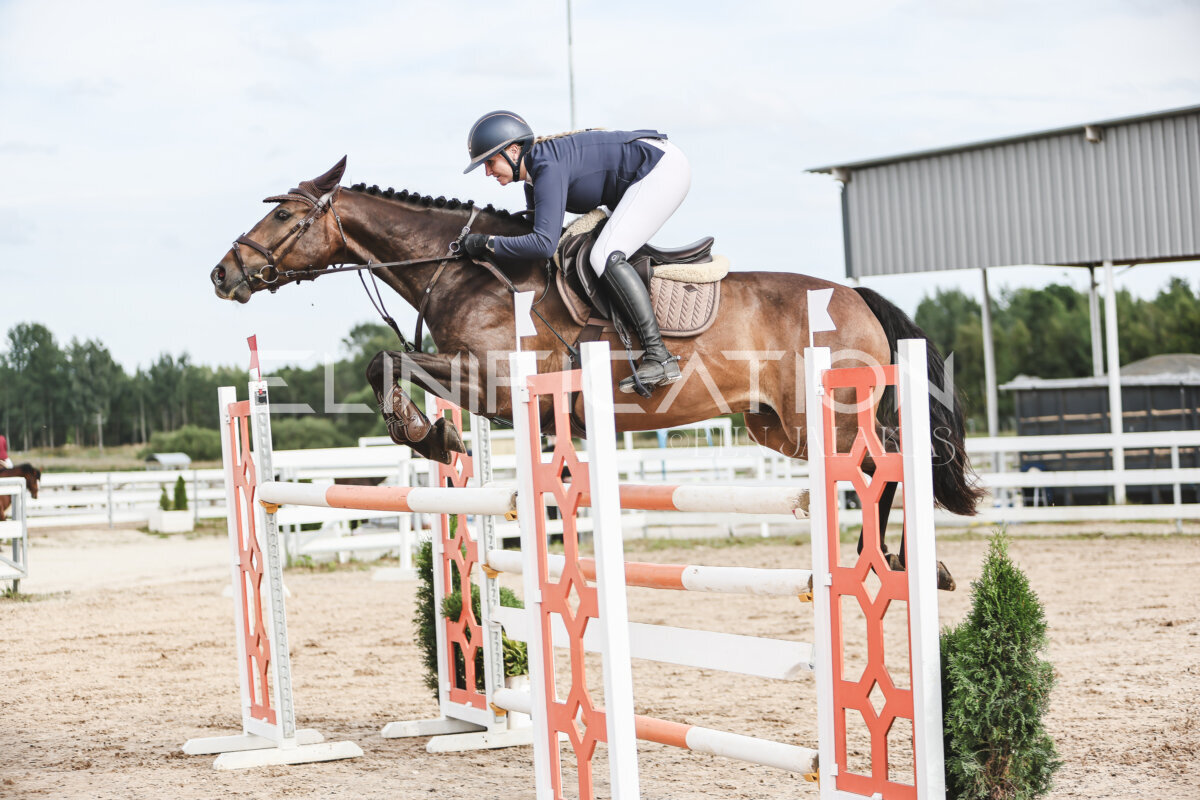 NHTS_2026_7_hc130-135cm_057