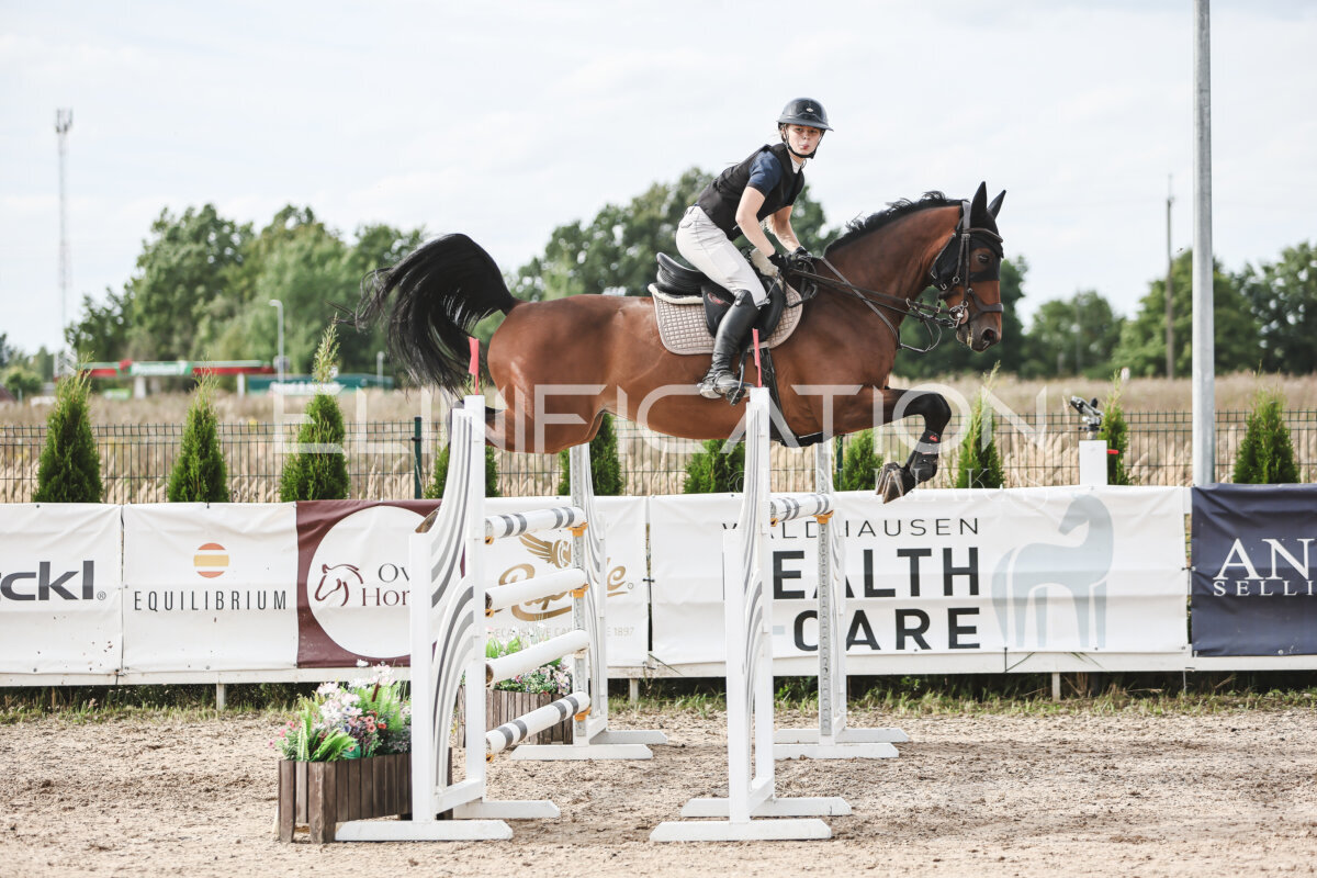 NHTS_2026_7_hc130-135cm_070