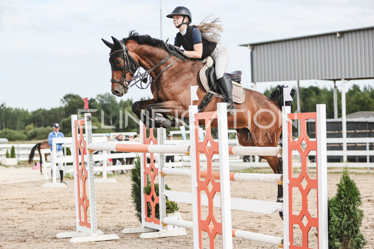 NHTS_2026_7_hc130-135cm_072