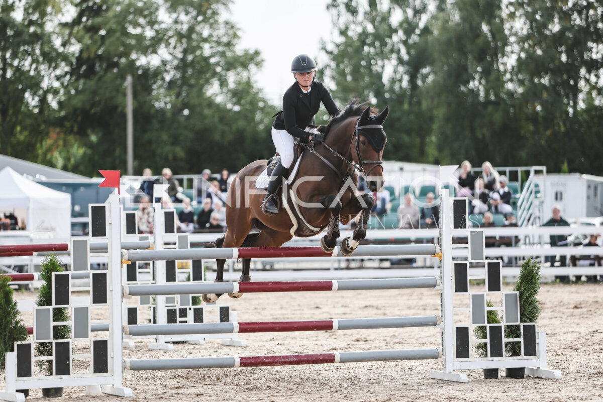NHTS_2026_7_hc130-135cm_081