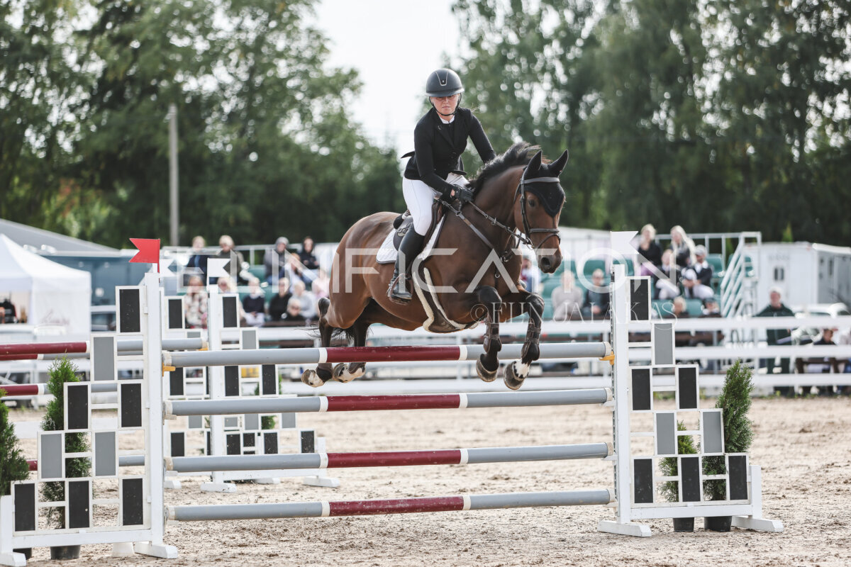 NHTS_2026_7_hc130-135cm_082