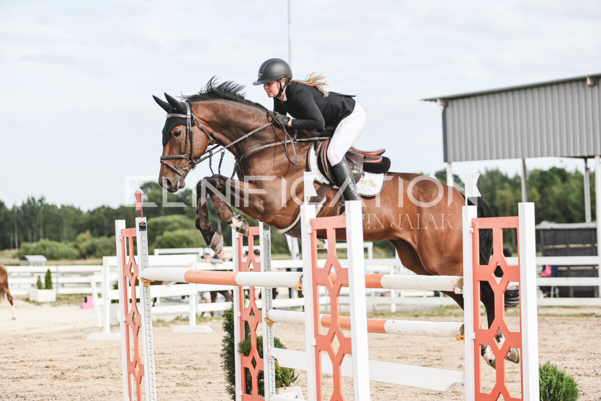 NHTS_2026_7_hc130-135cm_084