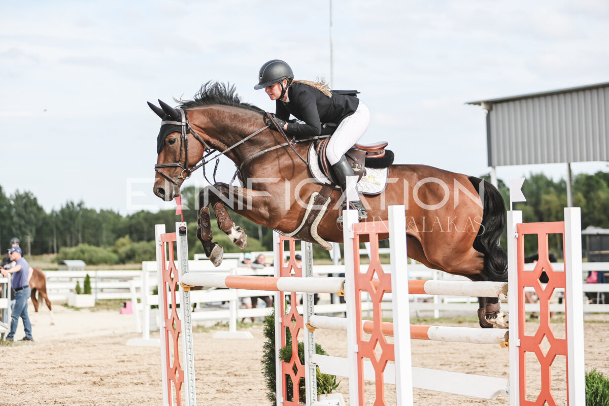 NHTS_2026_7_hc130-135cm_085