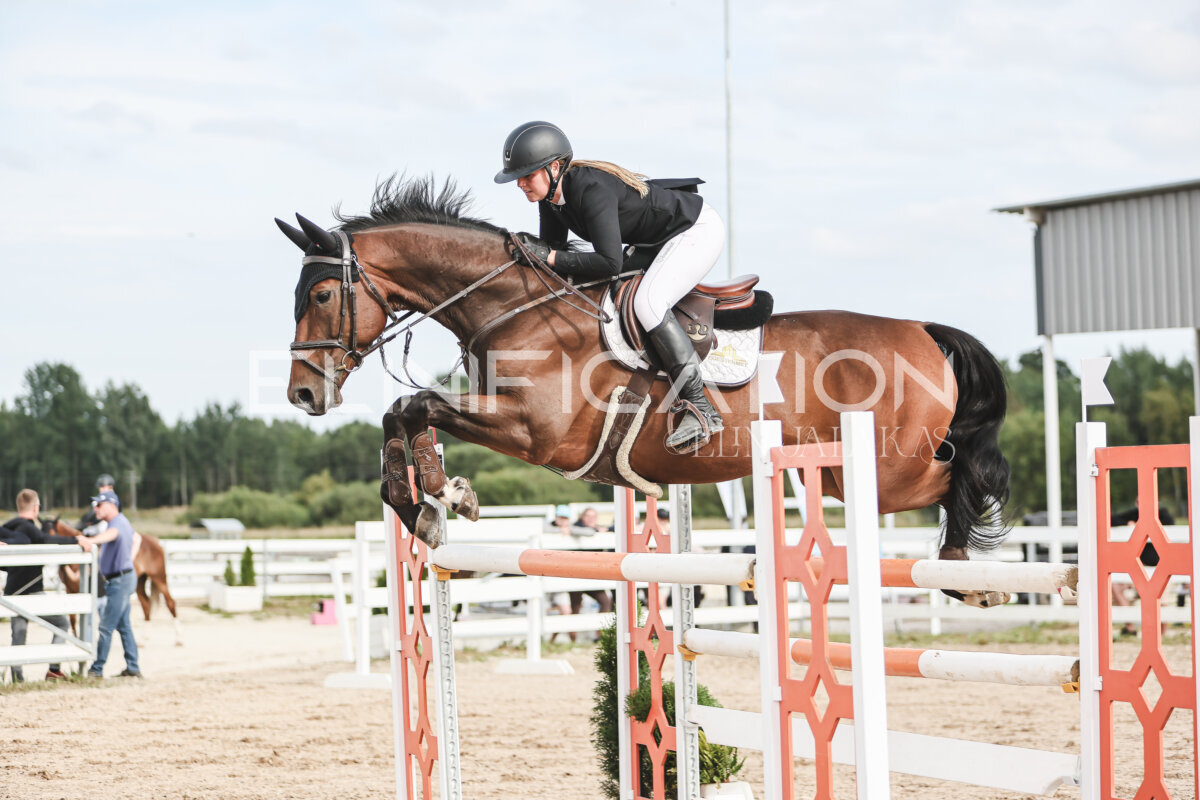 NHTS_2026_7_hc130-135cm_086