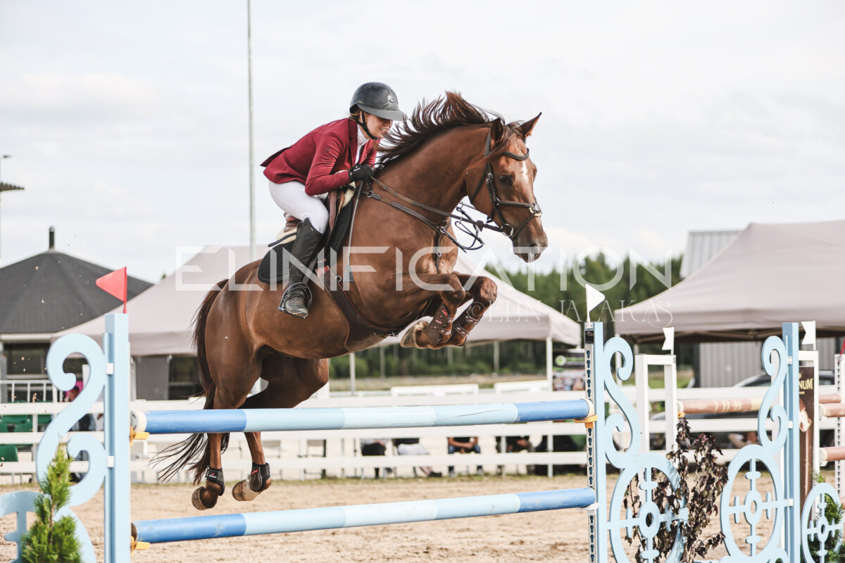 NHTS_2026_7_hc130-135cm_093