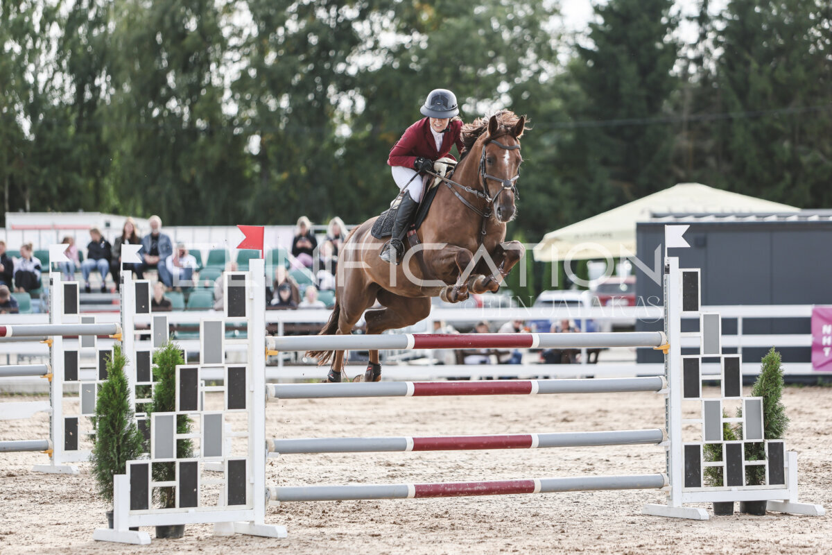 NHTS_2026_7_hc130-135cm_097