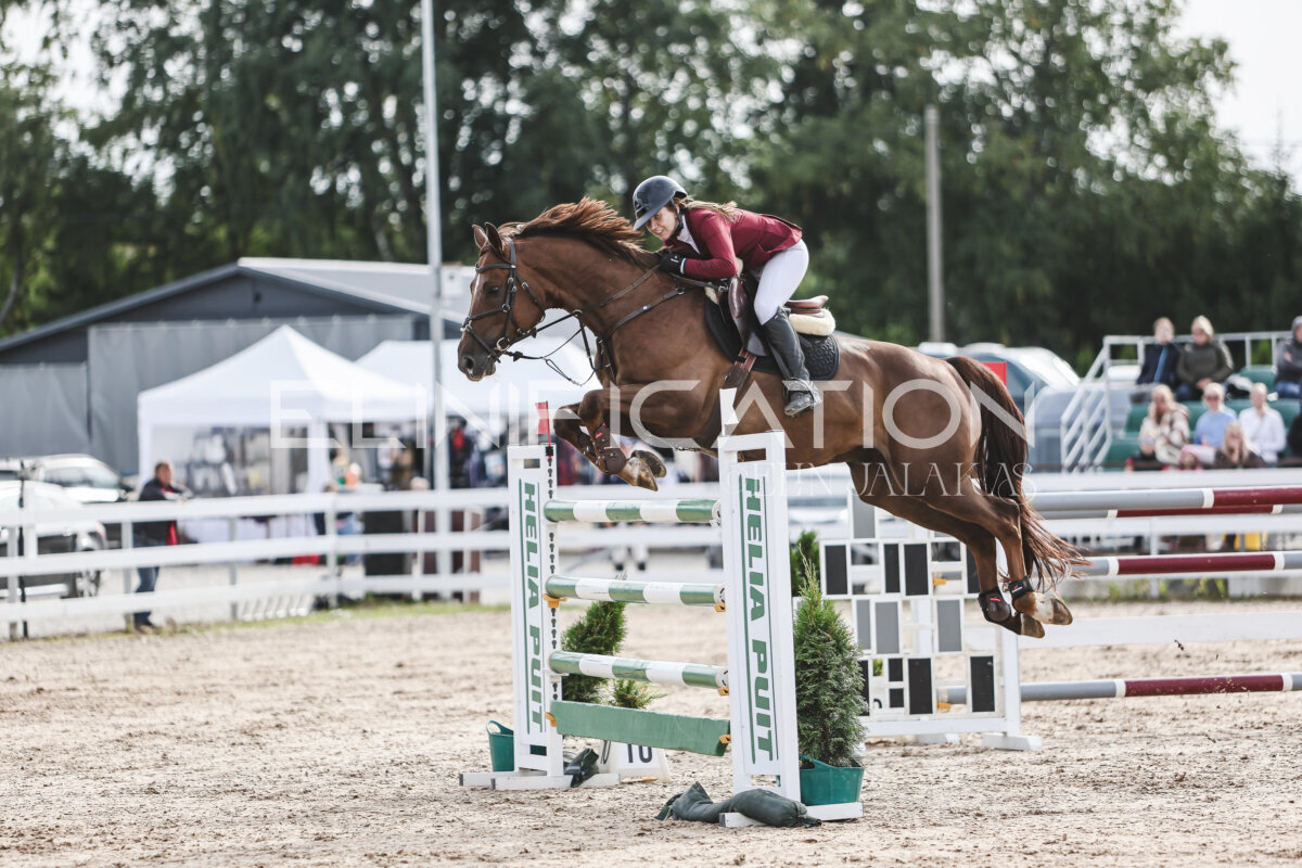 NHTS_2026_7_hc130-135cm_098