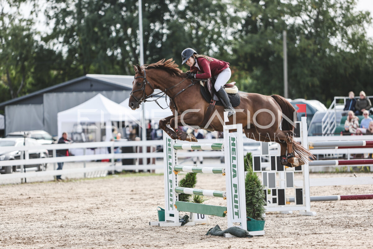 NHTS_2026_7_hc130-135cm_099