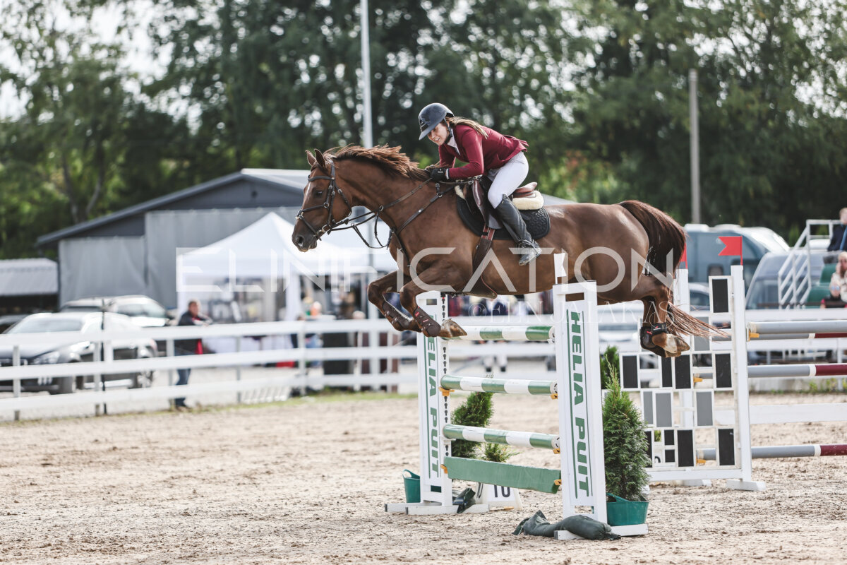 NHTS_2026_7_hc130-135cm_100