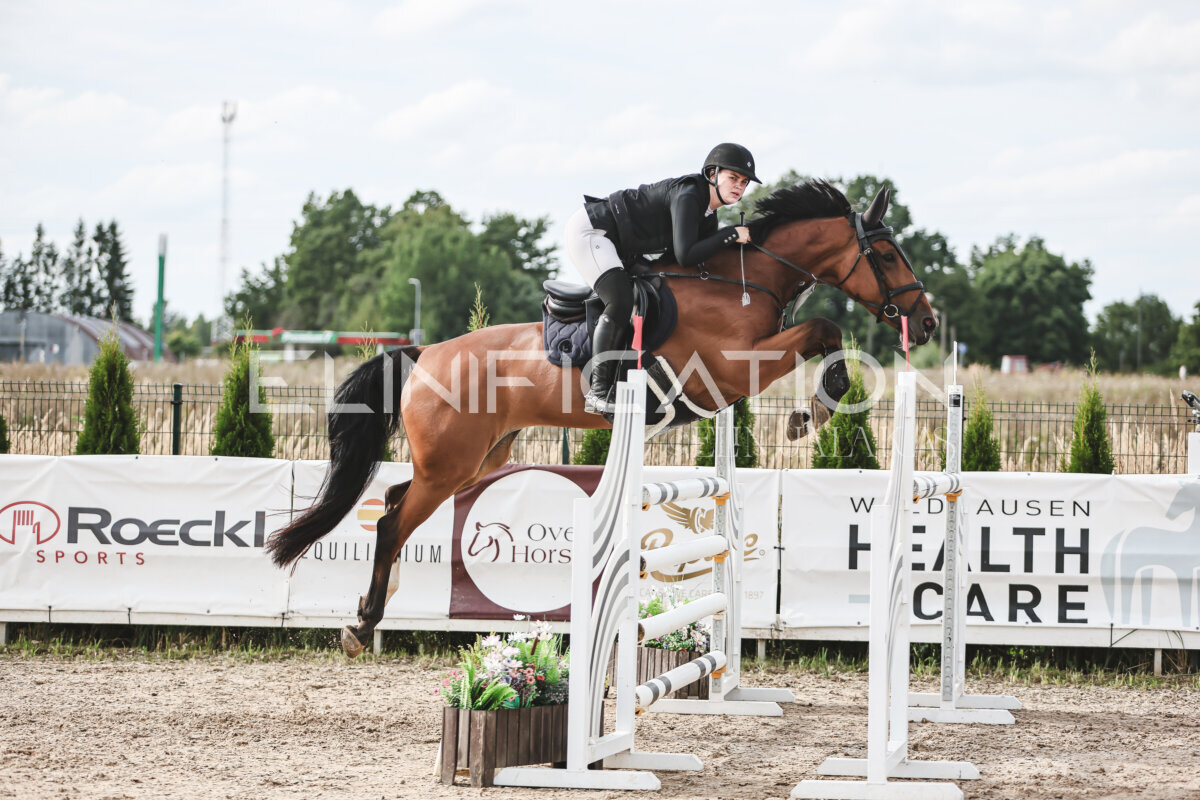 NHTS_2026_7_hc130-135cm_103