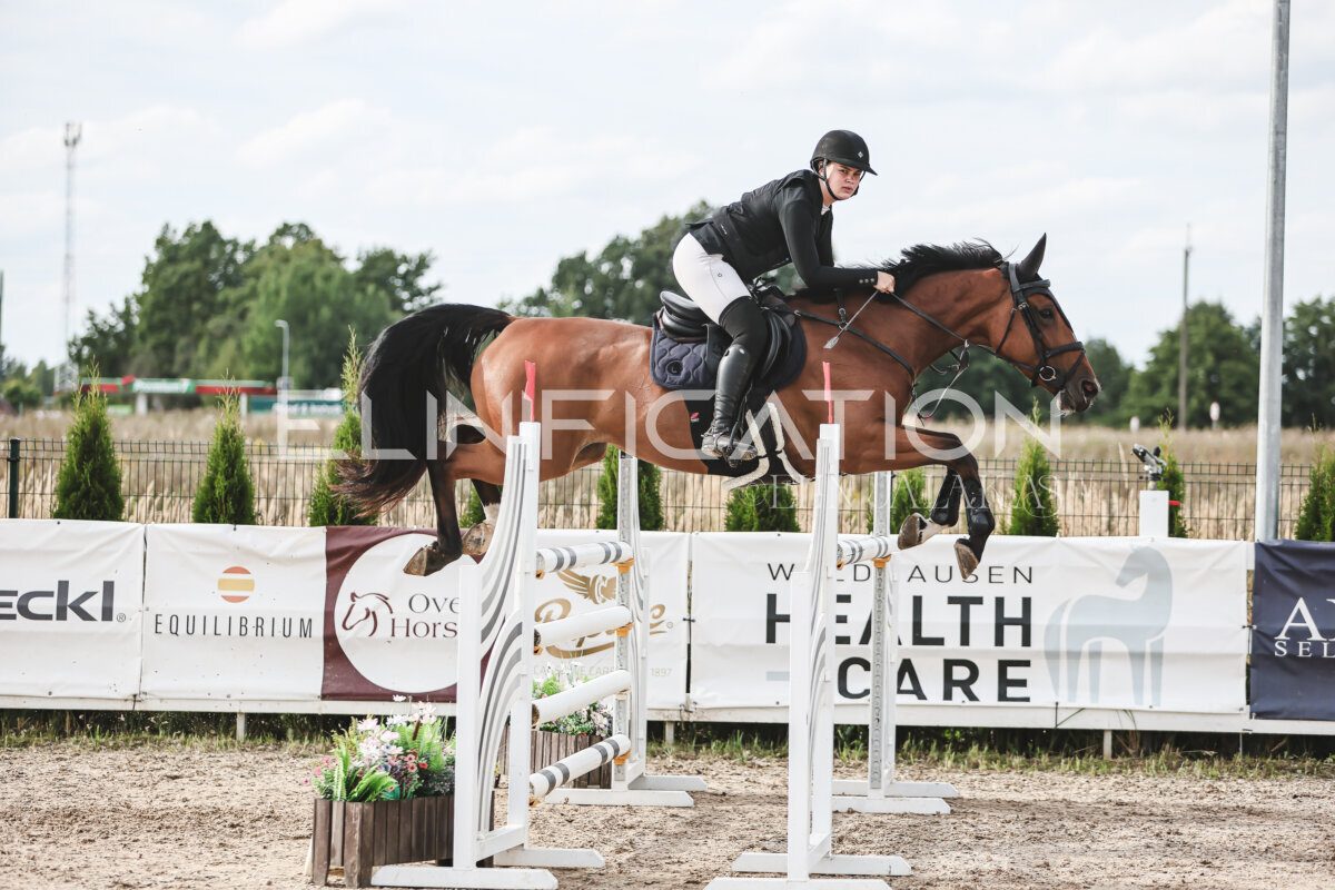 NHTS_2026_7_hc130-135cm_106