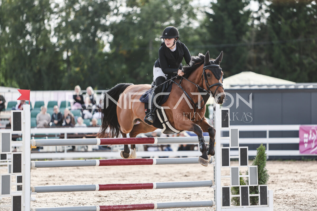 NHTS_2026_7_hc130-135cm_109