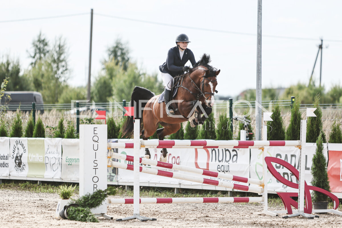 NHTS_2026_7_hc130-135cm_112