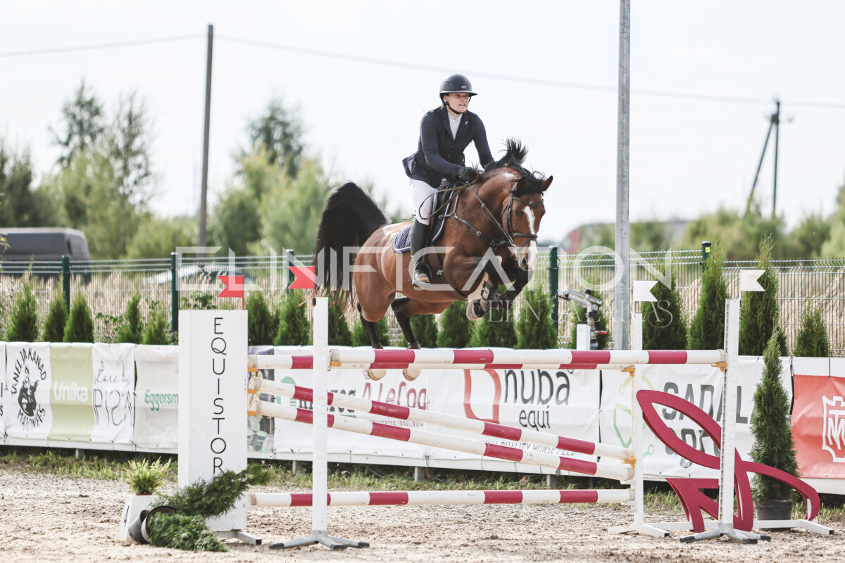 NHTS_2026_7_hc130-135cm_113
