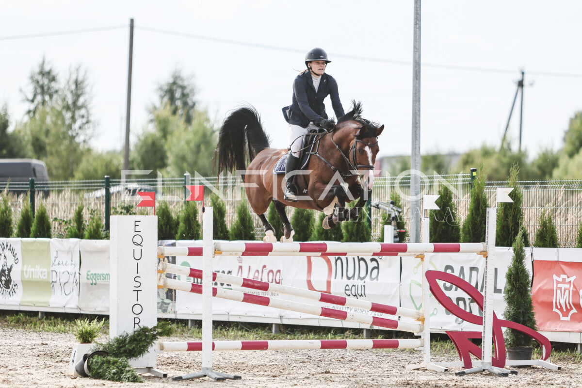 NHTS_2026_7_hc130-135cm_114