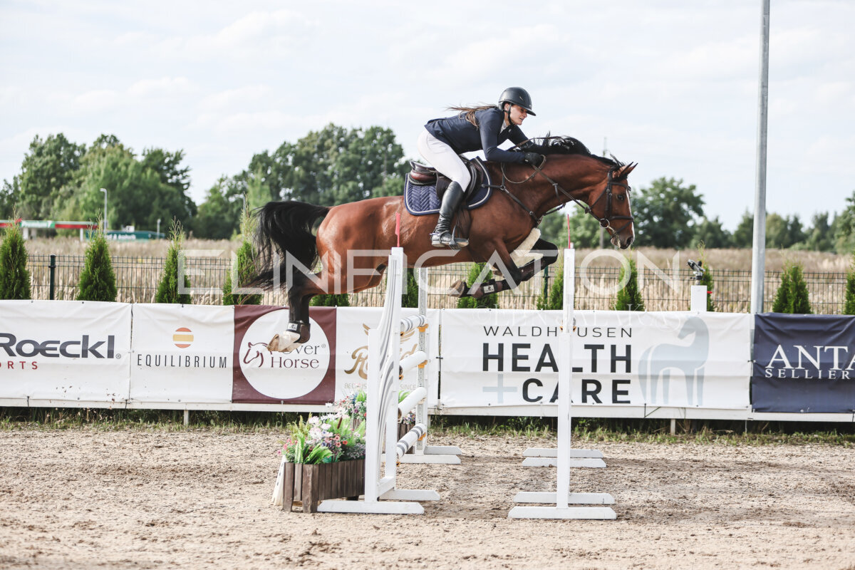 NHTS_2026_7_hc130-135cm_118