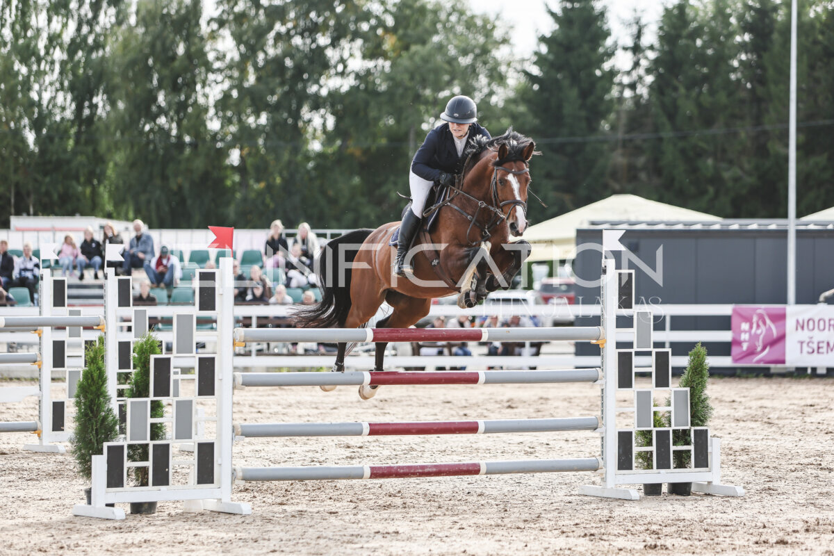 NHTS_2026_7_hc130-135cm_121