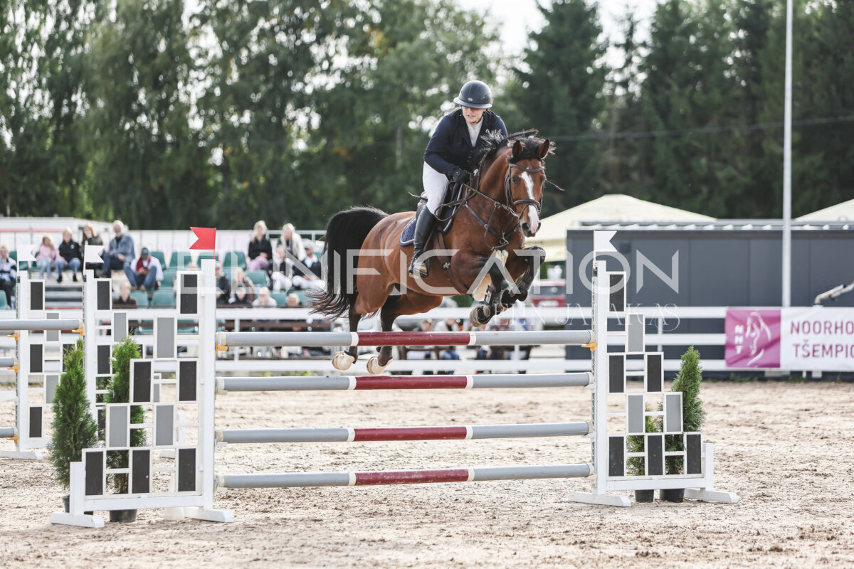 NHTS_2026_7_hc130-135cm_122