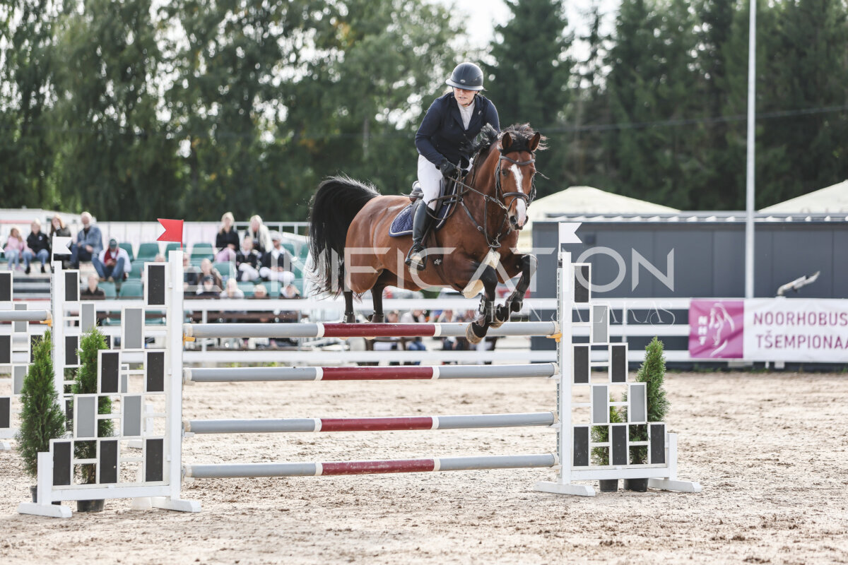 NHTS_2026_7_hc130-135cm_123