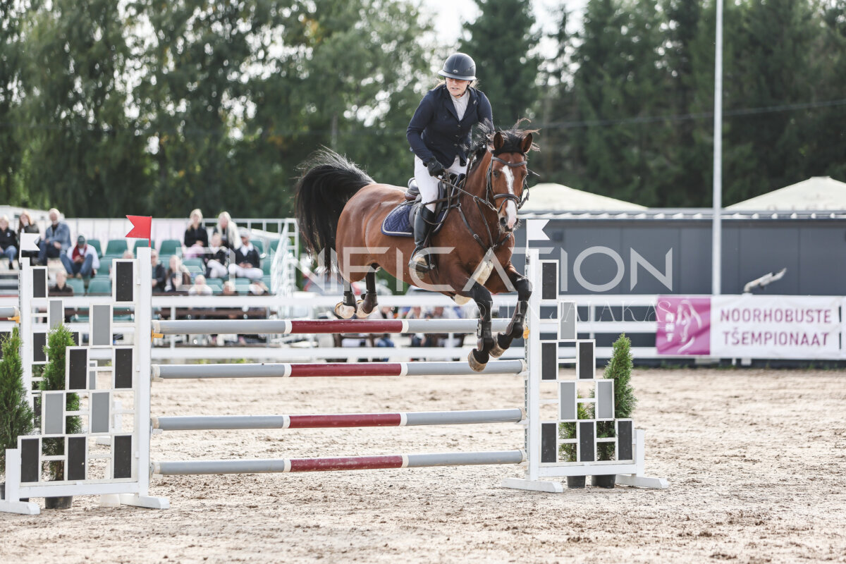 NHTS_2026_7_hc130-135cm_124