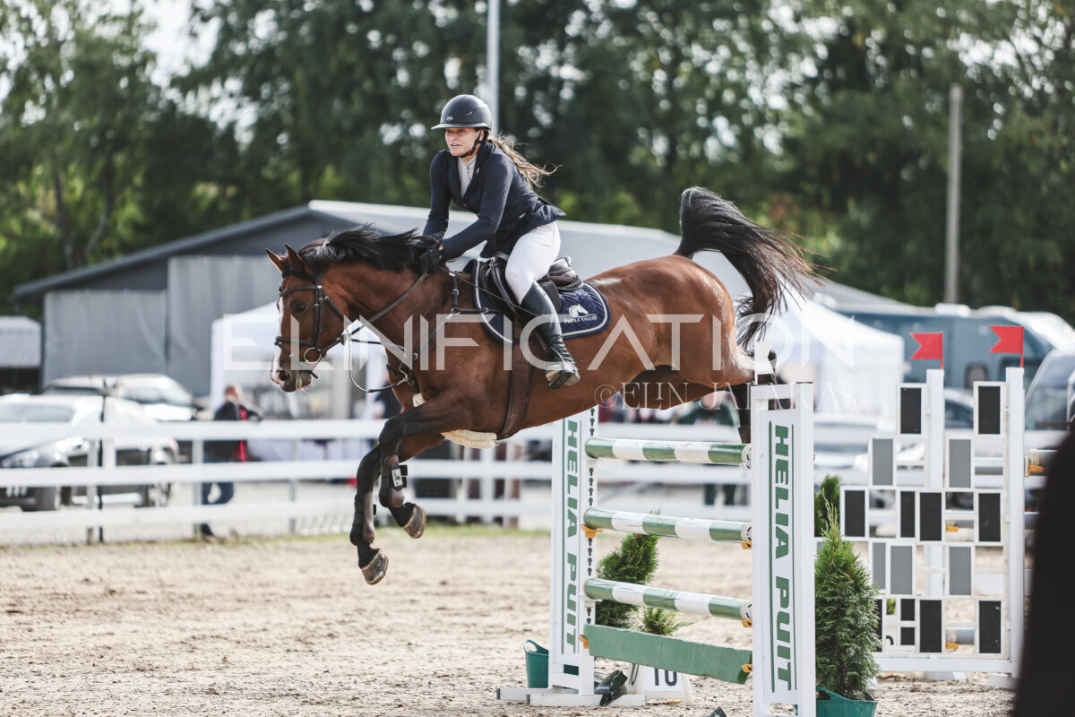 NHTS_2026_7_hc130-135cm_125
