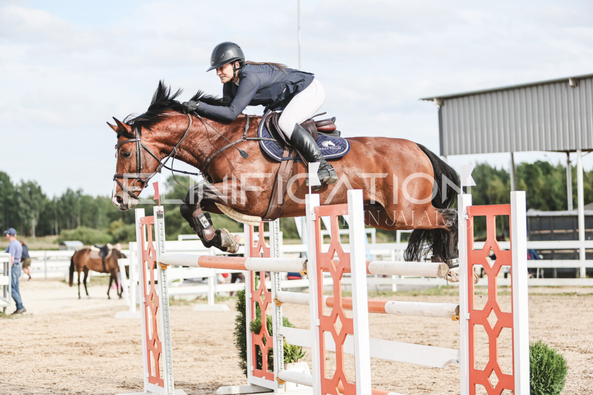 NHTS_2026_7_hc130-135cm_127