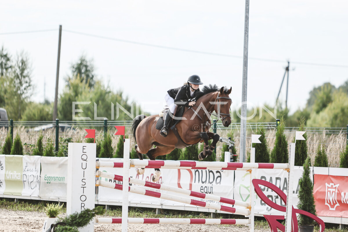 NHTS_2026_7_hc130-135cm_128