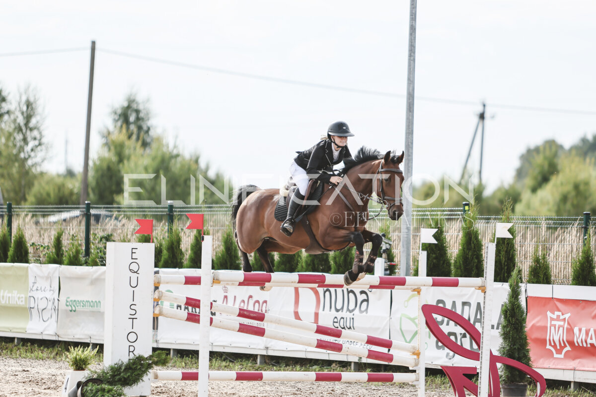NHTS_2026_7_hc130-135cm_129