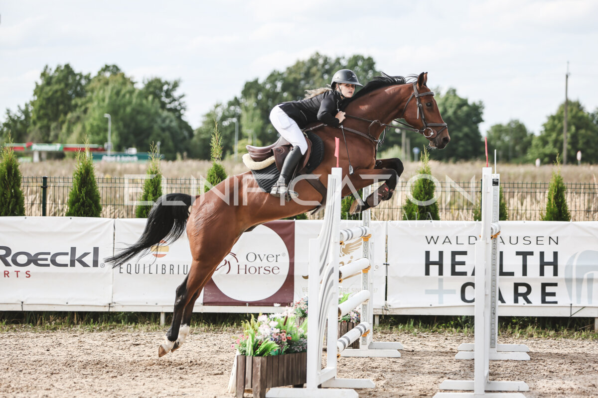 NHTS_2026_7_hc130-135cm_130