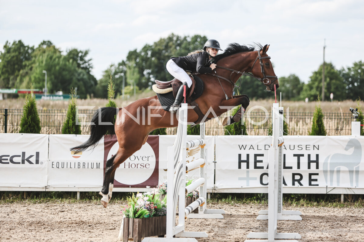 NHTS_2026_7_hc130-135cm_131