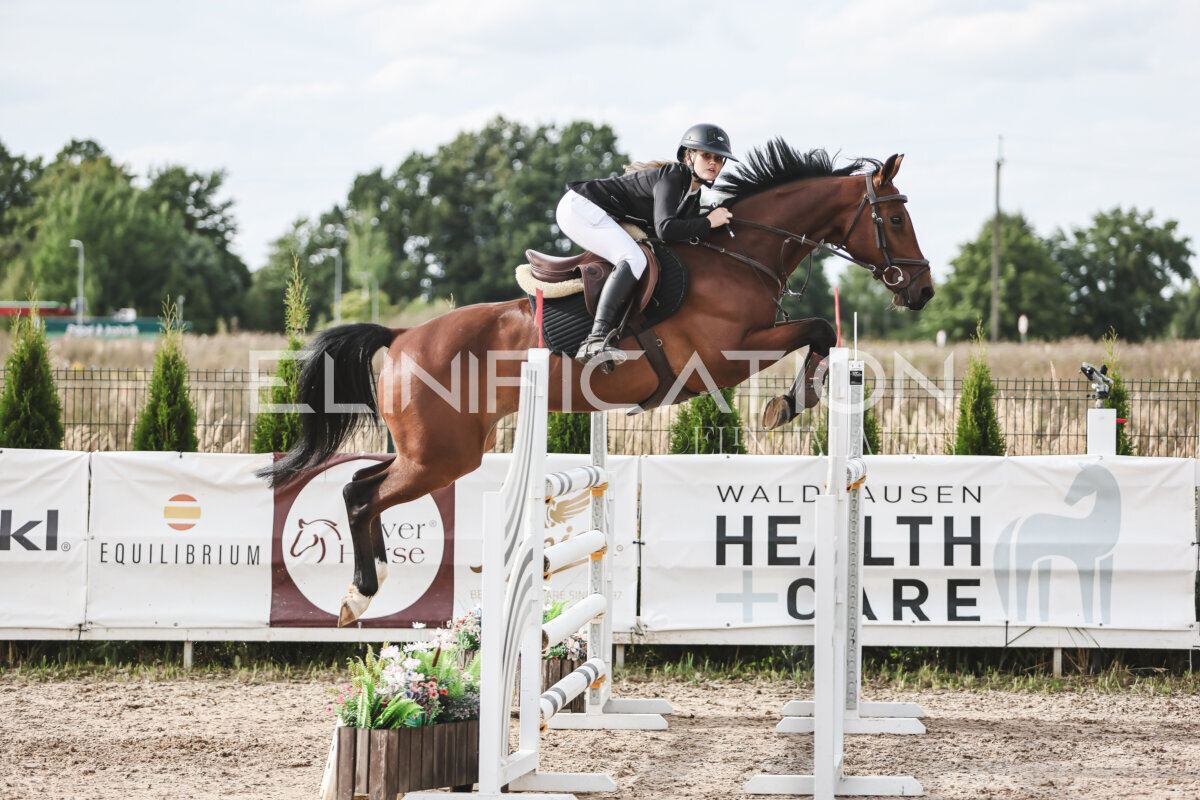 NHTS_2026_7_hc130-135cm_132