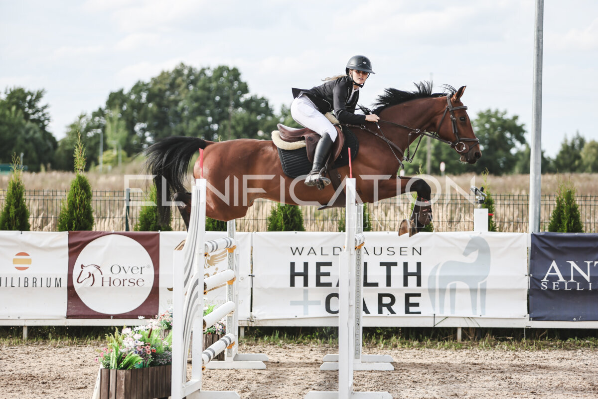 NHTS_2026_7_hc130-135cm_134