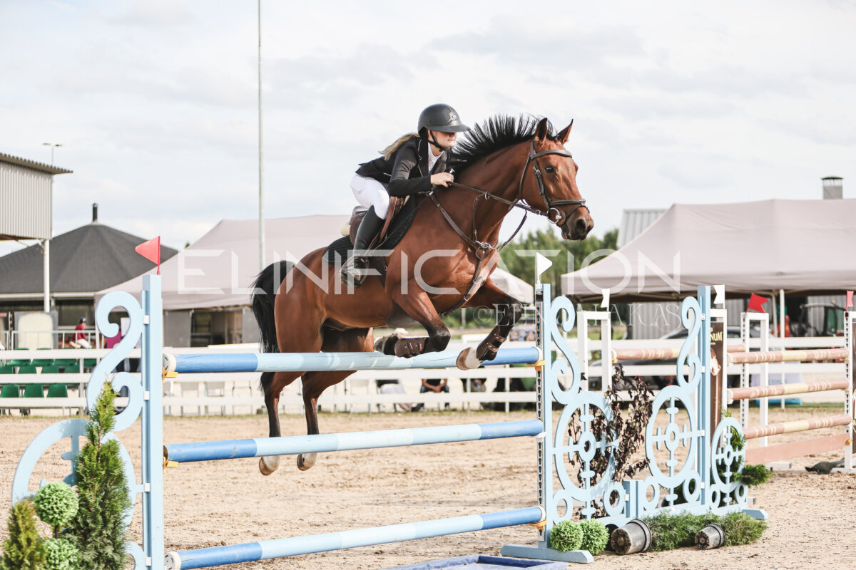 NHTS_2026_7_hc130-135cm_137