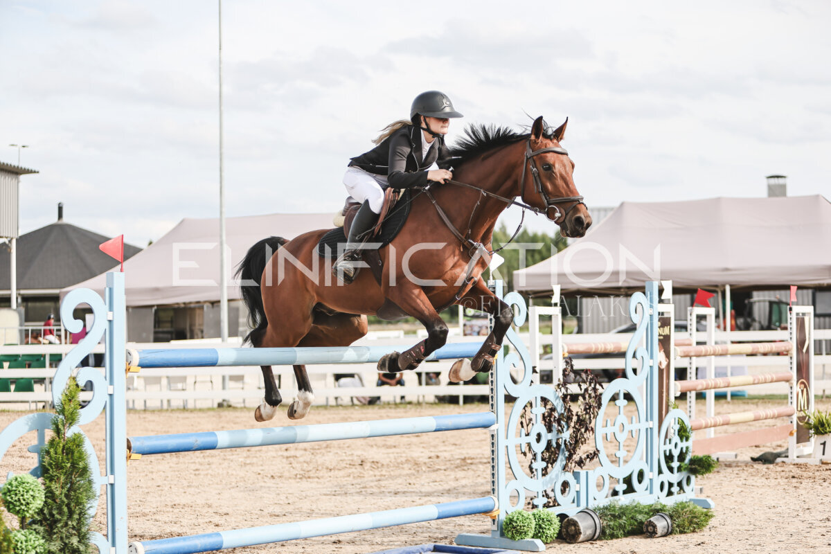 NHTS_2026_7_hc130-135cm_138