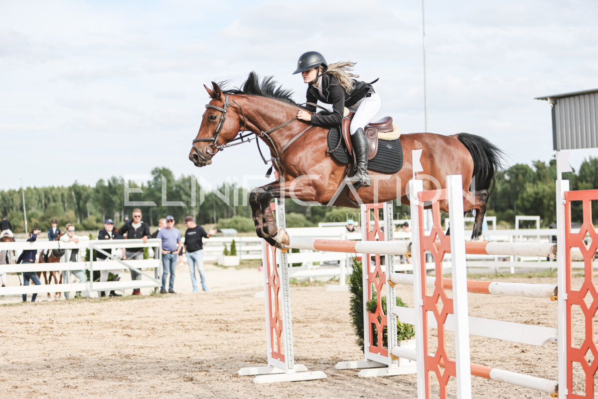 NHTS_2026_7_hc130-135cm_143