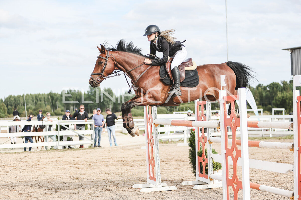 NHTS_2026_7_hc130-135cm_144