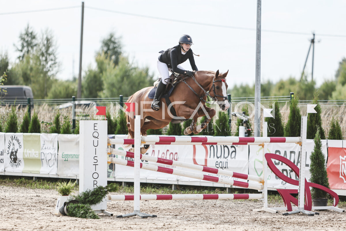 NHTS_2026_7_hc130-135cm_145
