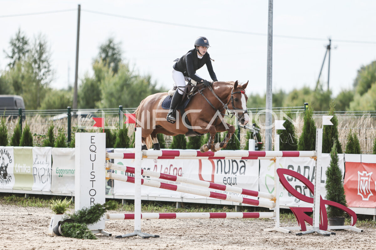 NHTS_2026_7_hc130-135cm_146