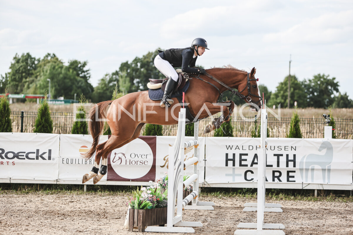 NHTS_2026_7_hc130-135cm_147