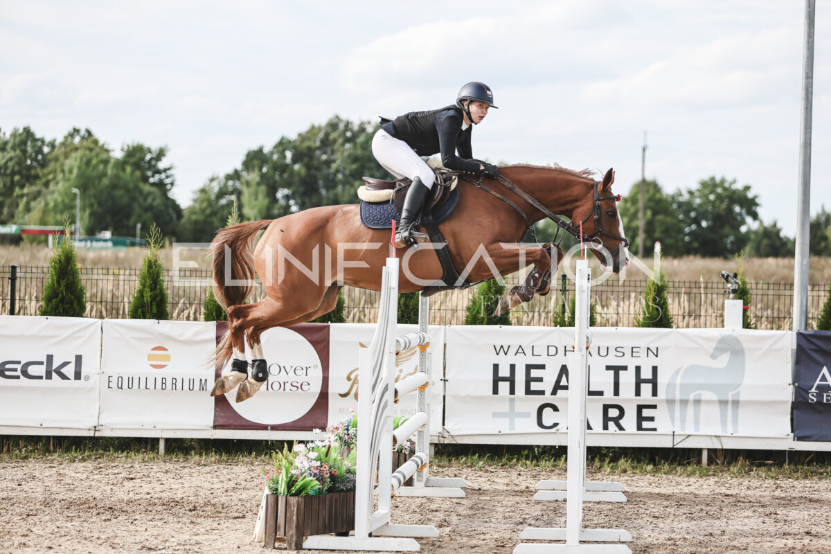 NHTS_2026_7_hc130-135cm_148