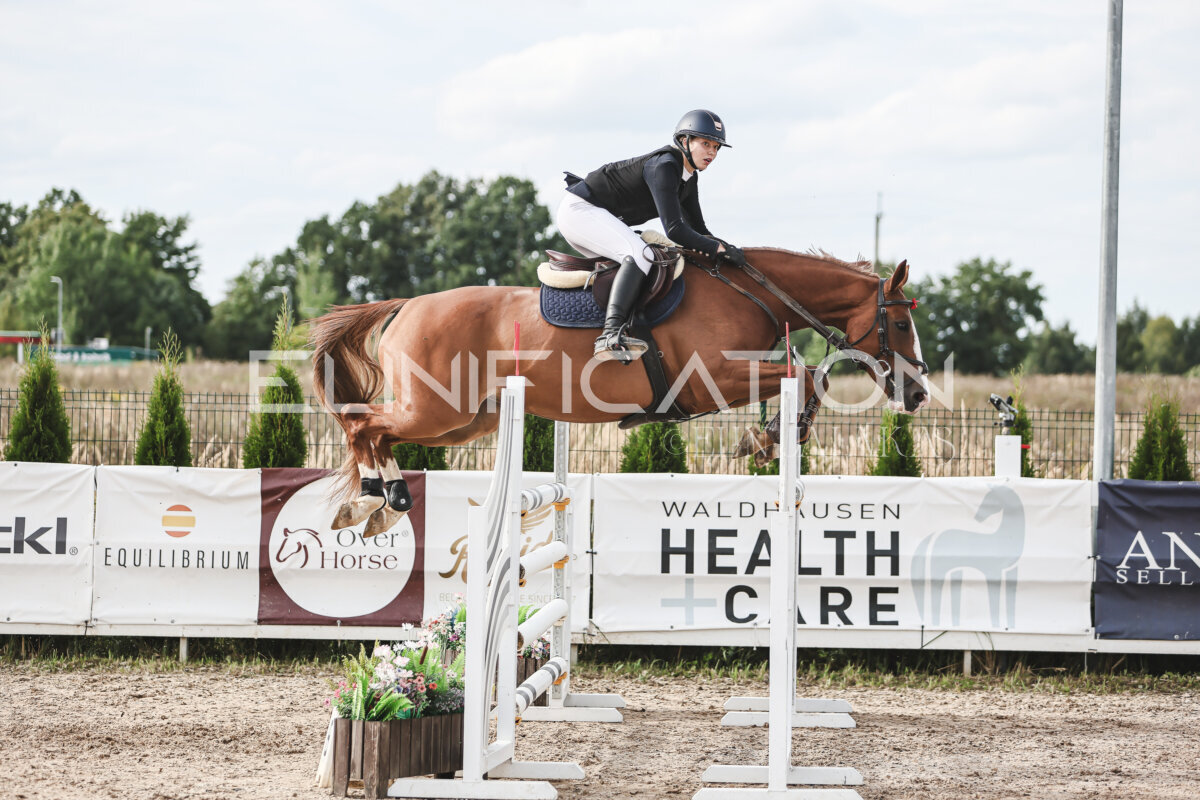 NHTS_2026_7_hc130-135cm_149