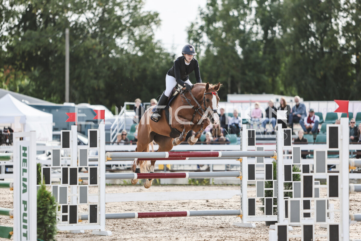 NHTS_2026_7_hc130-135cm_151